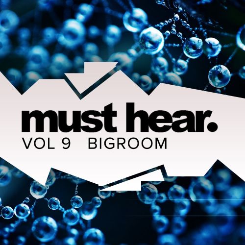 VA - Must Hear Vol 9 Big Room (2017)