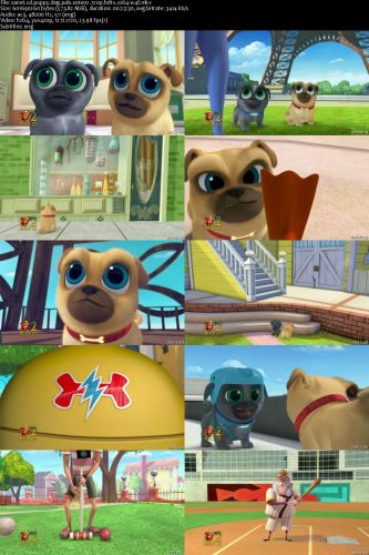 Puppy Dog Pals S01E02 720p HDTV x264-W4F