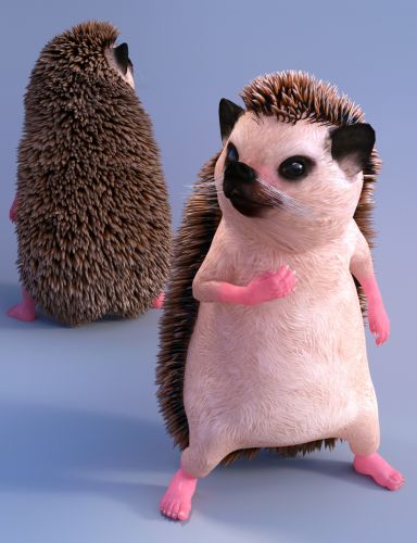 Ms Hedgehog for Genesis 8 Female