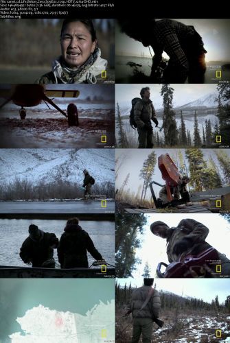 Life Below Zero S09E02 720p HDTV x264-DHD
