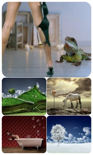 Creative Photographer Caras Ionut