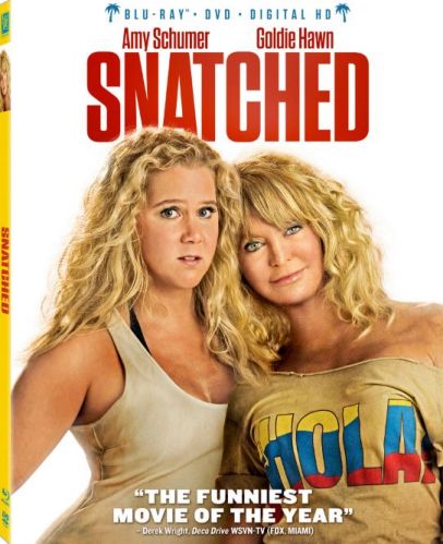 Snatched 2017 BDRip x264-GECKOS