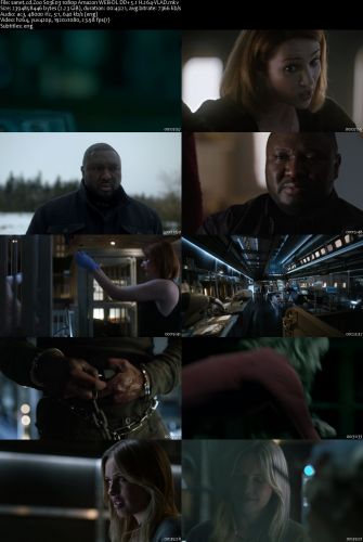 Zoo S03E03 1080p AMZN WEBRip DDP5.1 x264-VLAD
