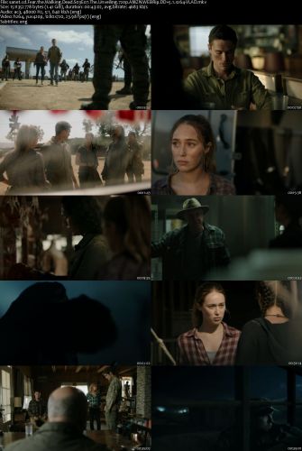 Fear the Walking Dead S03E07 720p AMZN WEBRip DDP5.1 x264-VLAD