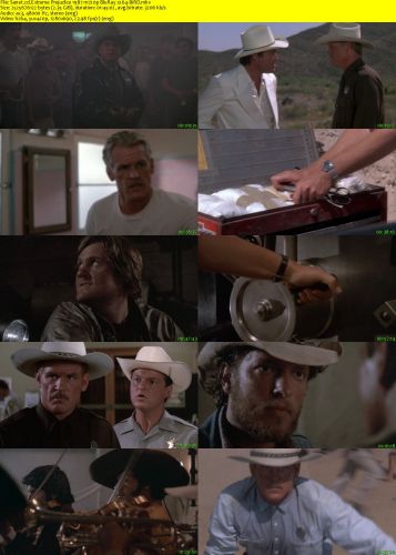 Extreme Prejudice 1987 m720p BluRay x264-BiRD