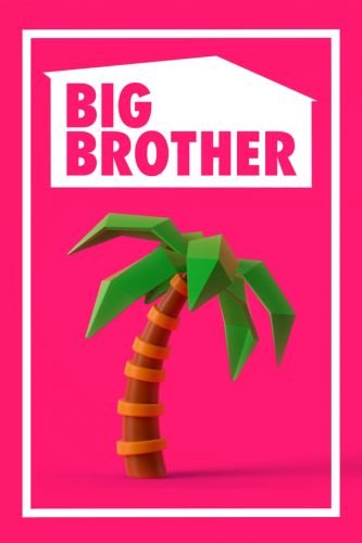 Big Brother US S19E12 720p HDTV x264-BAJSKORV