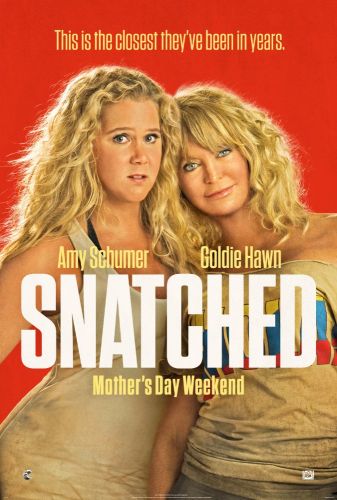 Snatched 2017 WEB-DL.x264-FGT