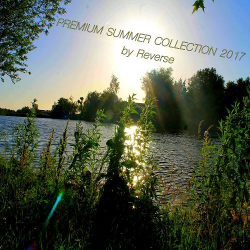 VA - Premium Summer Collection (2017)