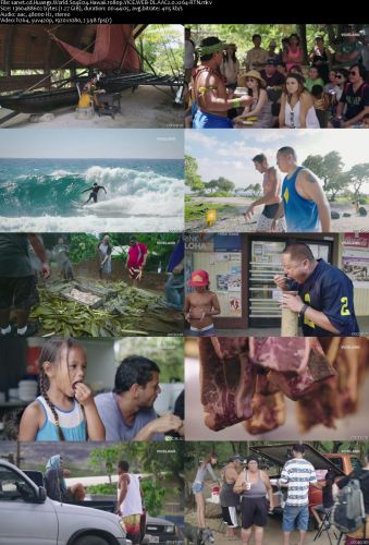Huangs World S04E04 Hawaii 1080p VICE WEBRip AAC2.0 x264-RTN