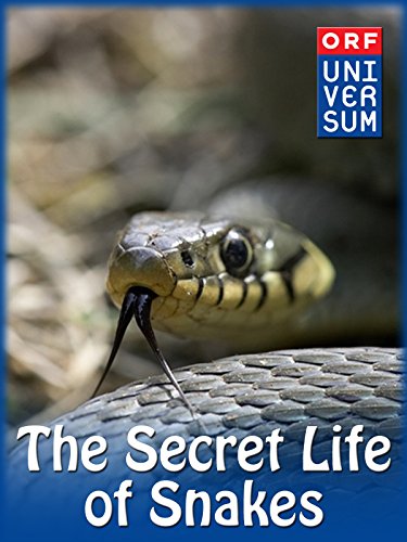The Secret Life of Snakes 2016 2160p CUR WEB-DL DD+ 2.0 x264-monkee