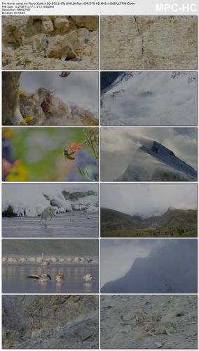 Planet Earth II S01 2160p UHD BluRay HDR DTS-HD MA5.1 x265-ULTRAHD