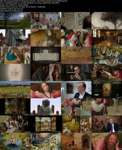 The Curious World of Hieronymus Bosch 2016 DVDRip