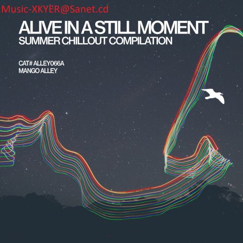VA - Alive In A Still Moment (2017)
