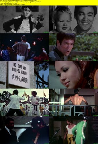 Bruce Lee The Legend 1984 720p HDTV x264-REGRET