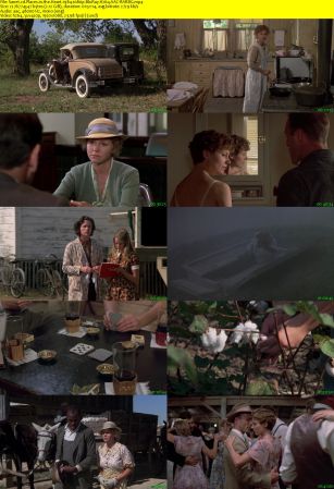 Places in the Heart 1984 1080p BluRay H264 AAC-RARBG