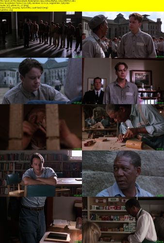The Shawshank Redemption 1994 1080p BluRay x264-CiNEFiLE