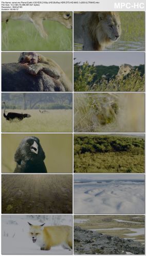 Planet Earth II S01 2160p UHD BluRay HDR DTS-HD MA5.1 x265-ULTRAHD