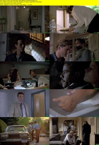 The Last Seduction 1994 BRRip XviD MP3-RARBG