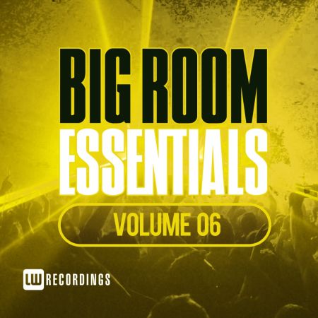 VA - Big Room Essentials Vol.06 (2017)