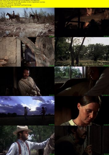 The Hired Hand 1971 m720p BluRay x264-BiRD