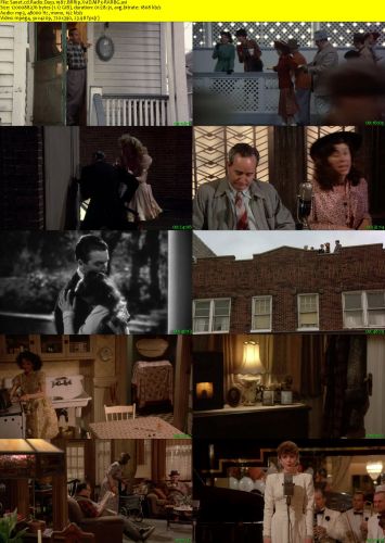 Radio Days 1987 BRRip XviD MP3-RARBG