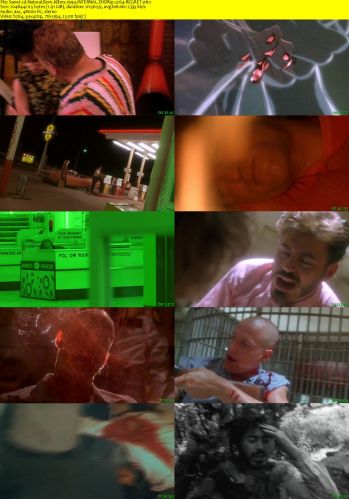Natural Born Killers 1994 iNTERNAL DVDRip x264-REGRET
