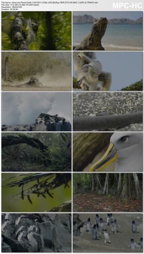 Planet Earth II S01 2160p UHD BluRay HDR DTS-HD MA5.1 x265-ULTRAHD