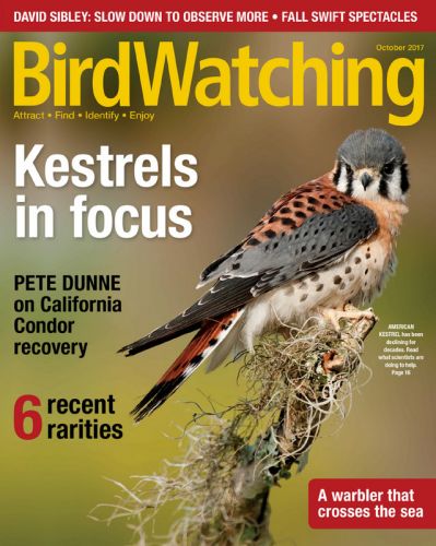 BirdWatching - September/October 2017