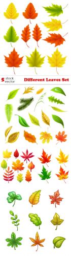 Vectors - Different Leaves Set