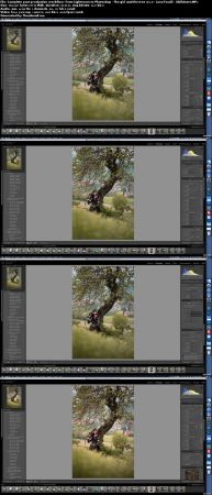 Complete post production workflow: from Lightroom to Photoshop - The girl and the tree (v2.4)