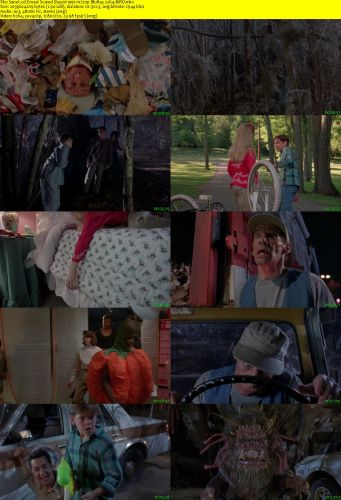 Ernest Scared Stupid 1991 m720p BluRay x264-BiRD