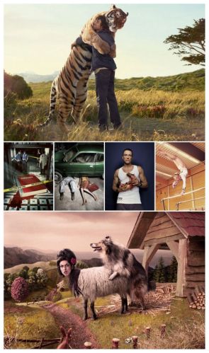 Frieke Janssens Photography 2