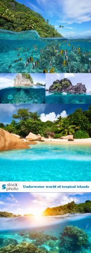 Photos - Underwater world of tropical islands