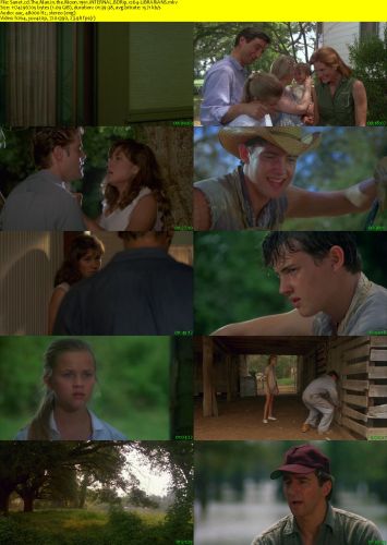 The Man in the Moon 1991 iNTERNAL BDRip x264-LiBRARiANS