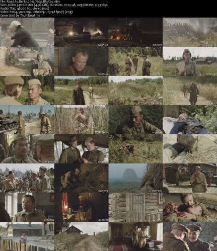 Road to Berlin (2015)