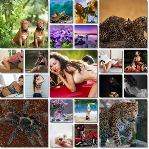 Desktop Beautiful Wallpapers Pack 971