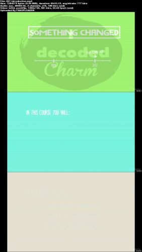 The Very Mini, but Very Amazing Course on Charm