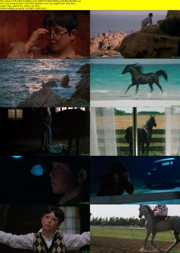 The Black Stallion 1979 REMASTERED BRRip XviD MP3-RARBG