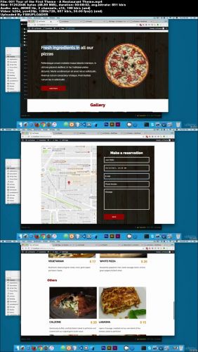 PROFESSIONAL WORDPRESS THEME DEVELOPMENT FROM SCRATCH