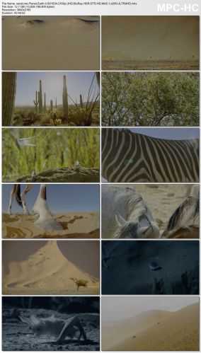 Planet Earth II S01 2160p UHD BluRay HDR DTS-HD MA5.1 x265-ULTRAHD