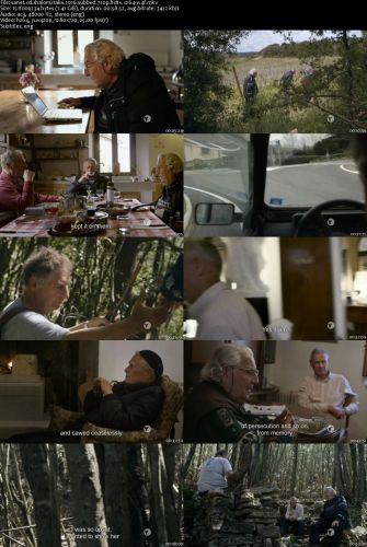 Shalom Italia 2016 SUBBED 720p HDTV x264-W4F
