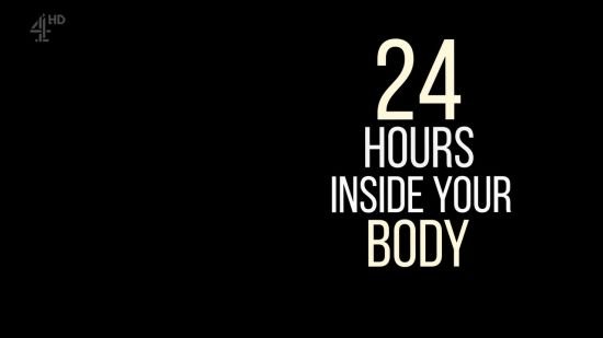 24 Hours Inside Your Body 2017 HD TV x264-PLUTONiUM
