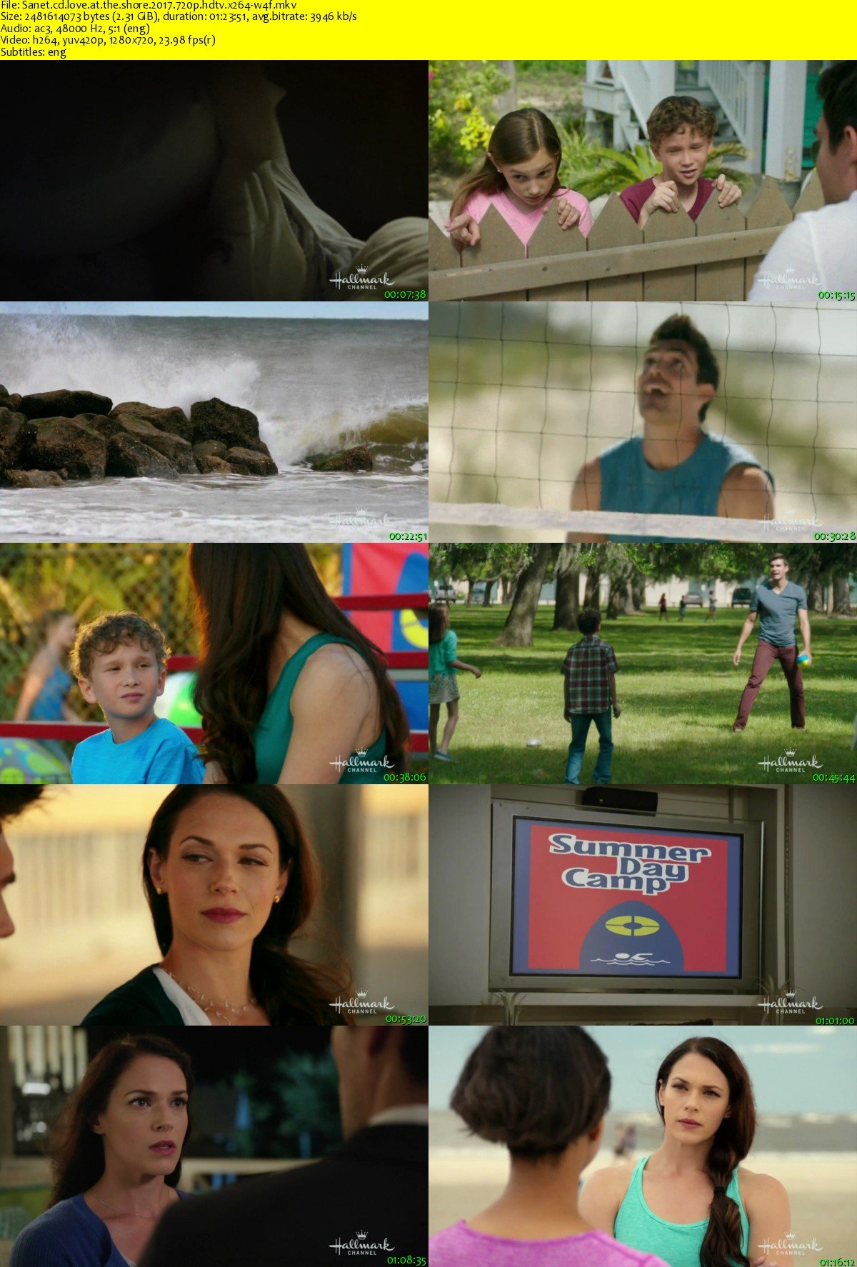 Love at the shore 2017 720p hdtv x264 w4f softarchive