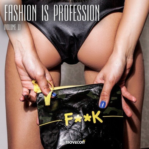 Fashion In Profession Vol. 1 (2017)