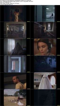 A Ghost Story 2017 720p WEB-DL x264 AC3 5.1 ESub Moviezworldz