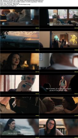 The Hero 2017 720p HDRip x264 RoHardSubbed-MonDoM