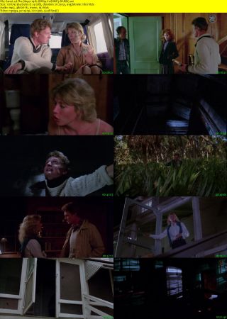 The Slayer 1982 BRRip XviD MP3-RARBG