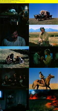 Pioneer Woman 1973 DVDRip x264-ARiES