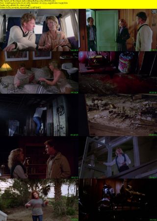 The Slayer 1982 1080p BluRay x264-SPOOKS