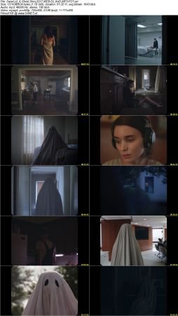 A Ghost Story 2017 WEB-DL XviD MP3-FGT